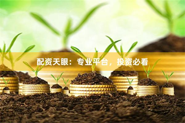 配资天眼：专业平台，投资必看